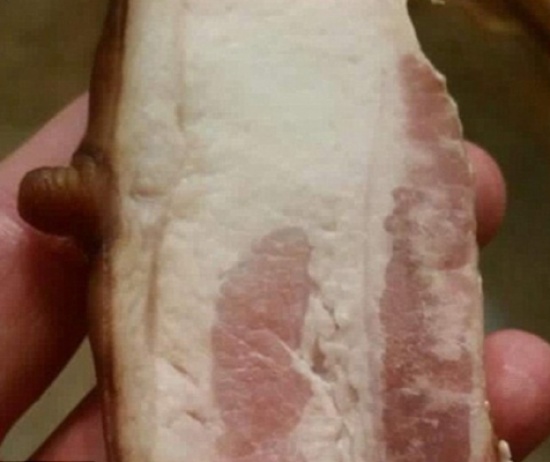 صور غريبة.. خمّنوا ما هي! صور غريبة.. خمّنوا ما هي!