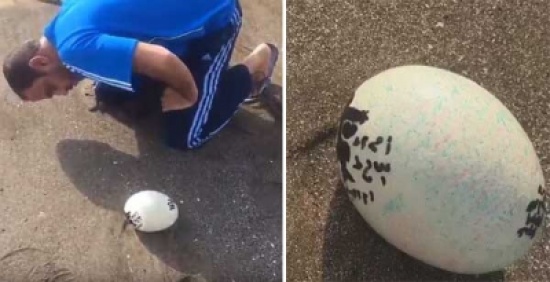 بالفيديو: صياد إماراتي يعثر على جسم بيضاوي يحمل كتابات وطلاسم غريبة بأحد شواطئ الفجيرة بالفيديو: صياد إماراتي يعثر على جسم بيضاوي يحمل كتابات وطلاسم غريبة بأحد شواطئ الفجيرة
