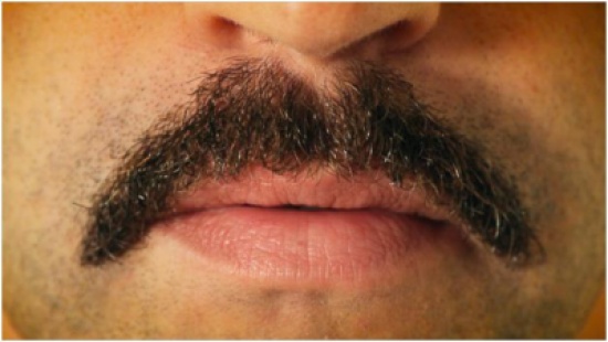 بالصور .. 7 قوانين غريبة حول العالم