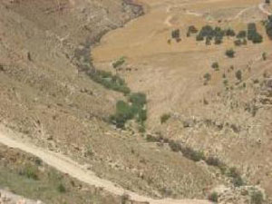 مواطنون يحتجون على انخفاض تقدير اراضيهم المستملكة لسد وادي كفرنجة 