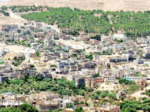 فعاليات الطفيلة تشيد بالتعديلات الدستورية للنهوض بالحياة السياسية