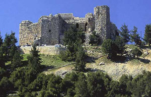 مادبا : الاصلاحات الدستورية تعزز النهج الديمقراطي