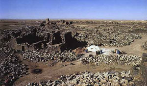 فعاليات المفرق تشيد بالتعديلات الدستورية المقترحة  