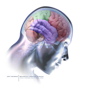 الاعلان عن اسماء المبدعين الحاصلين على التفرغ الابداعي  