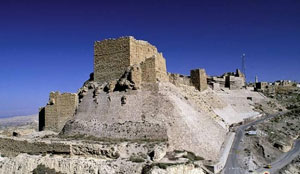 تنمية الكرك تلقي القبض على عدد من المتسولين 