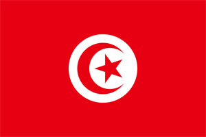 اعلاميون تونسيون يشيدون بتوصيات لجنة تعديل الدستور 