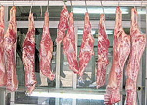 الحباشنة : سوق اللحوم المستوردة مهيمن عليه من قبل عدد محدود من التجار 