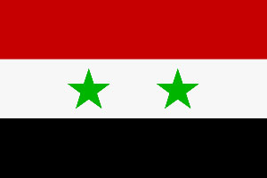 سوريا تشهد دعوات جديدة للتظاهر اليوم في جمعة "الصبر والثبات"