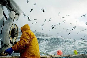 هزة أرضية بقوة 1ر7 درجة تضرب سواحل ألاسكا 