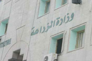 وزارة الزراعة: تصدير الزيتون إلى إسرائيل ما يزال مستمرا وزارة الزراعة: تصدير الزيتون إلى إسرائيل ما يزال مستمرا