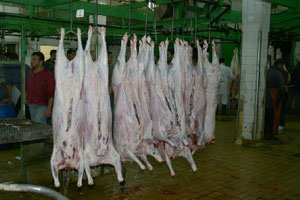 اتلاف92 طنا من اللحوم غير صالحة للاستهلاك خلال شهر رمضان 