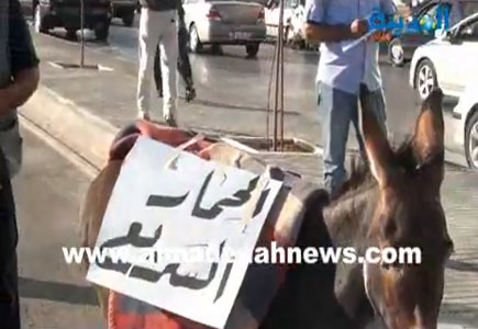 الحمار السريع ينطلق على نفس الخط الذي حفرته أمانة عمان ( فيديو ) الحمار السريع ينطلق على نفس الخط الذي حفرته أمانة عمان ( فيديو )
