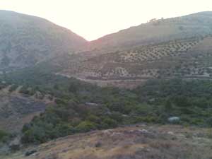 تشكيل لجان تسجيل الناخبين في لواء الكورة  