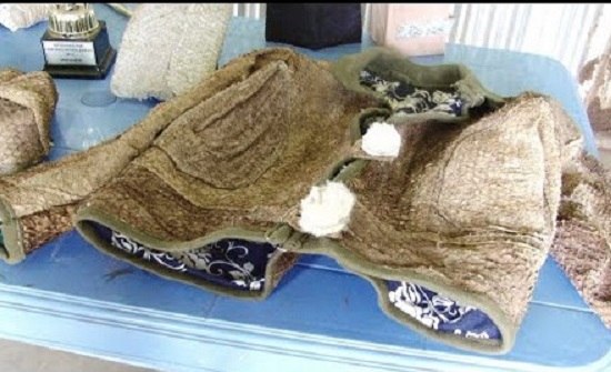 بالفيديو : هل سمعتم عن ألبسة مصنوعة من بقايا جلد السمك؟