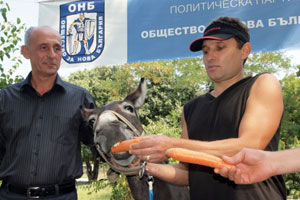 قبول ترشيح حمار لمنصب عمدة مدينة بلغارية