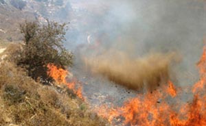 مستوطنون يشعلون النار بعشرات الدونمات الزراعية جنوب نابلس  