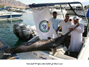 صيد سمكة في العقبة بلغت زنتها127 كيلو غراما