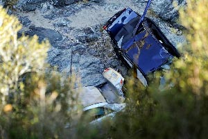 أمريكي ينجو من الموت بأكل النمل وأوراق الشجر