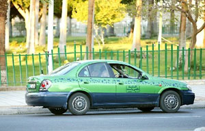 اختتام حملة نظفوا العالم لعام 2011 في العقبة