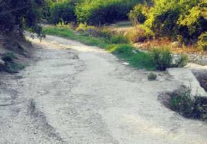 مزارعون في وادي الريان يطالبون بتحسين طريق الوادي  