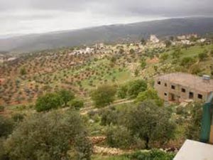 سكان بدر الجديدة يغلقون الطريق احتجاجا على الدمج سكان بدر الجديدة يغلقون الطريق احتجاجا على الدمج