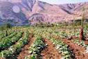 الزراعة تنظم جولة للصحافيين في وادي الكرك  