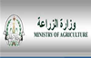 بحث زيادة صادرات الخضار والفواكه عبر الشحن الجوي 