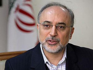 صالحي يقول ان بلاده ستحصّل حقوقها القانونية من روسيا في صفقة صواريخ  أس 300  