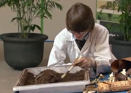 العالم الصغير