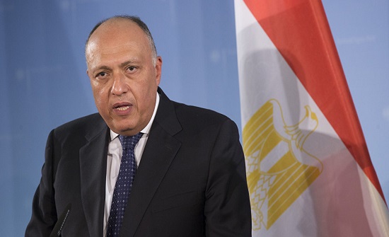 شكري لحمدوك: مصر تحرص على دعم السودان بالمرحلة الانتقالية شكري لحمدوك: مصر تحرص على دعم السودان بالمرحلة الانتقالية