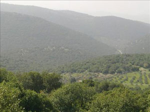 مواطنو تبنة وجديتا يقدرون استحداث بلديات جديدة 