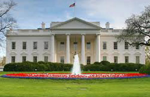 البيت الابيض لا يستبعد أي خيار فيما يخص ايران