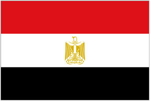 مصر قد تبادل "الجاسوس" غرابل بـ81 سجيناً بإسرائيل