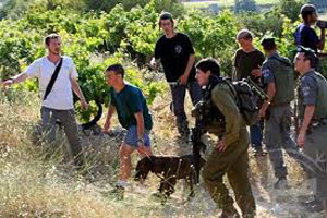 العشرات من المستوطنين اليهود يهاجمون مواطني قرية عراق غرب نابلس