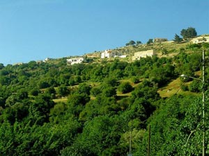 12733عدد المسجلين لانتخابات بلدية الشونة الوسطى 