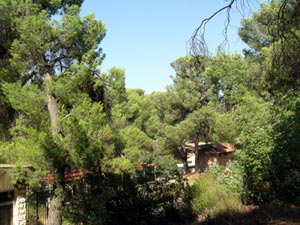 جمعية دبين للتنمية السياحية تناقش مشروعات بيئية  