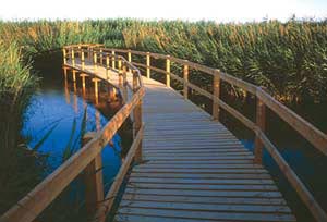 محمية الأزرق المائية ما بين سحر الطبيعة وتنوع الحياة  