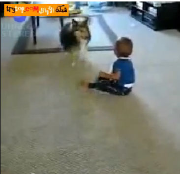 مقطع كوميدى اخر جنان