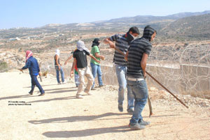 اصابة مواطن واختناق العشرات بالغاز السام في قرية بلعين غرب رام الله ( صور )