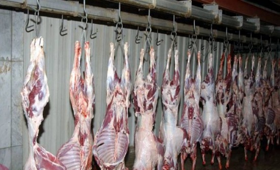 محافظ اربد : تقرر افتتاح المسلخ البلدي اعتبارا من الاحد المقبل