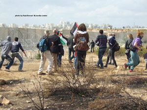 اختناق العشرات من المتظاهرين بالغاز السام في قرية بلعين غرب رام الله (صور )