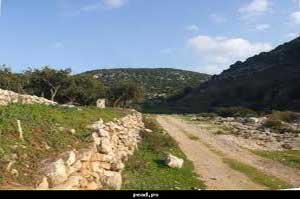 استشهاد فلسطيني بعد ان دهسه مستوطن بسيارته