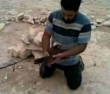 فرحة ماتمت