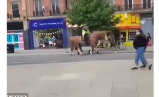 شاهد..علم المثليين يثير رعب أحصنة الشرطة