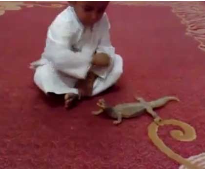 نهاية المزح مع ضب