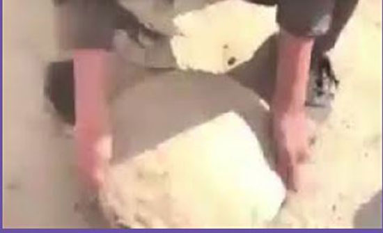 أسهل طريقة للاحتفاظ وتخزين العنب (فيديو) أسهل طريقة للاحتفاظ وتخزين العنب (فيديو)