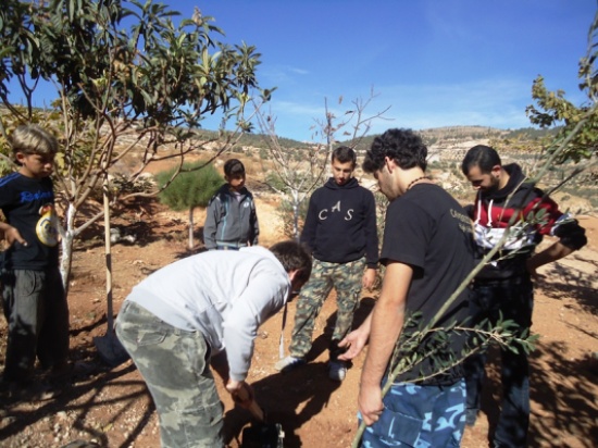 حملة زراعة ونظافة في مقبرة ياجوز