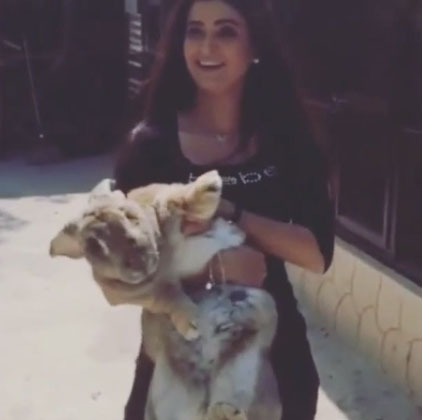 علا الفارس تهدي المصريين أرنب عملاق