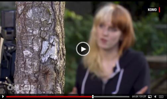 بالفيديو: شاهد راقصة تثير جدلاً على متن طائرة أمريكية بسبب زيها القصير