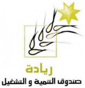 "التنمية والتشغيل" يمول دورة لتدريب ذوي اعاقة "التنمية والتشغيل" يمول دورة لتدريب ذوي اعاقة